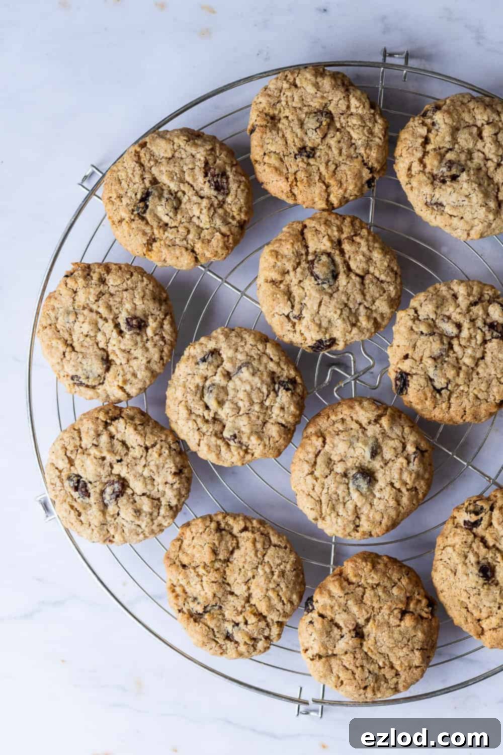 Vegan Oatmeal Raisin Cookies - these delicious egg and dairy-free cookies are crispy on the outside and soft and chewy in the middle. They are quick and easy to make and perfect for snacking on. #vegancookies #veganbaking #oatmealraisin #eggless #dairyfree A perfectly styled shot of vegan oatmeal raisin cookies arranged on a round wire cooling rack, set against a elegant marble backdrop. Highlighting their crispy texture and deliciousness.