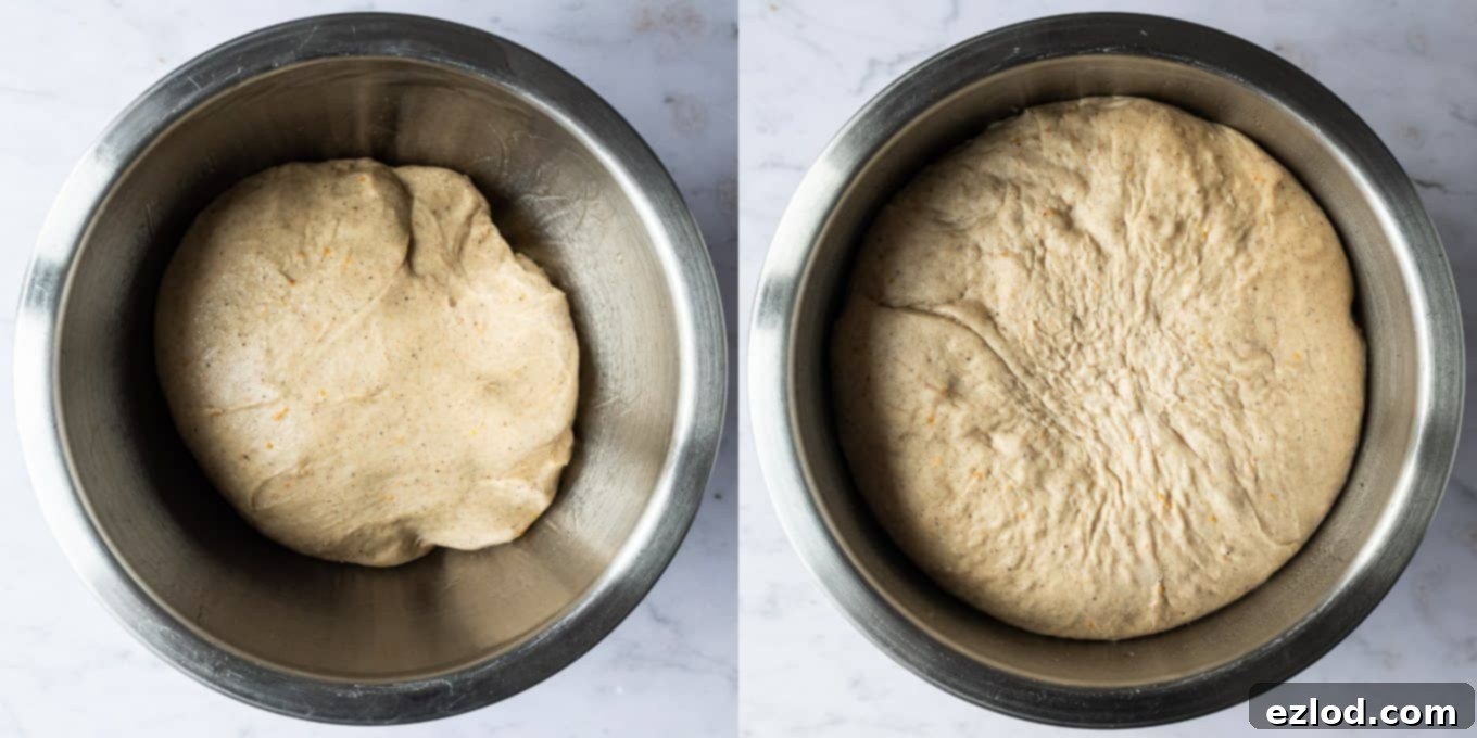 Sweet Spiced Vegan Buns 5 Step 4: Vegan hot cross bun dough undergoing its first rise in a lightly oiled bowl, covered to create a warm environment. Essential for light and airy dairy-free buns.