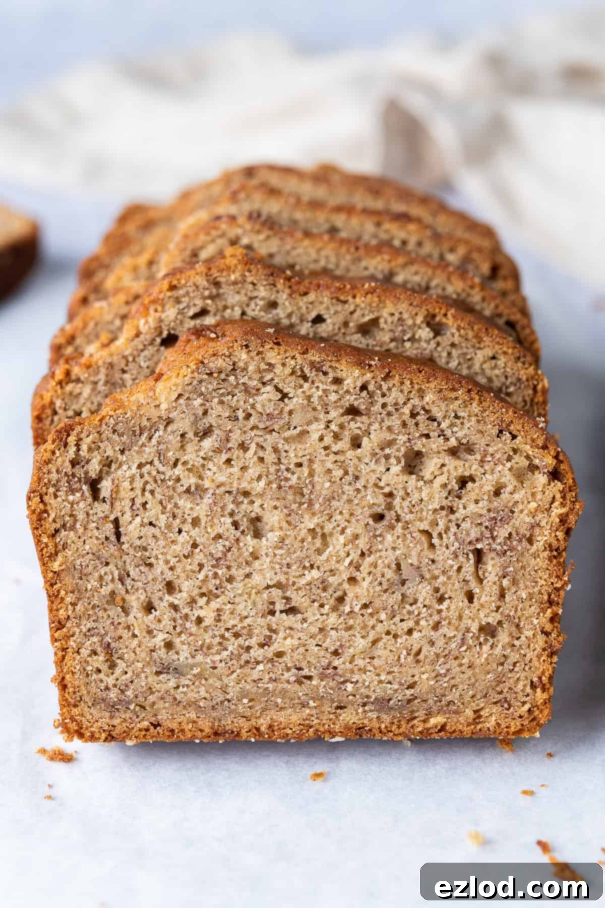 Close-Up of a Moist Slice of Homemade Vegan Banana Bread A close-up view of a single slice of easy vegan banana bread, highlighting its soft, moist crumb and perfect golden color.