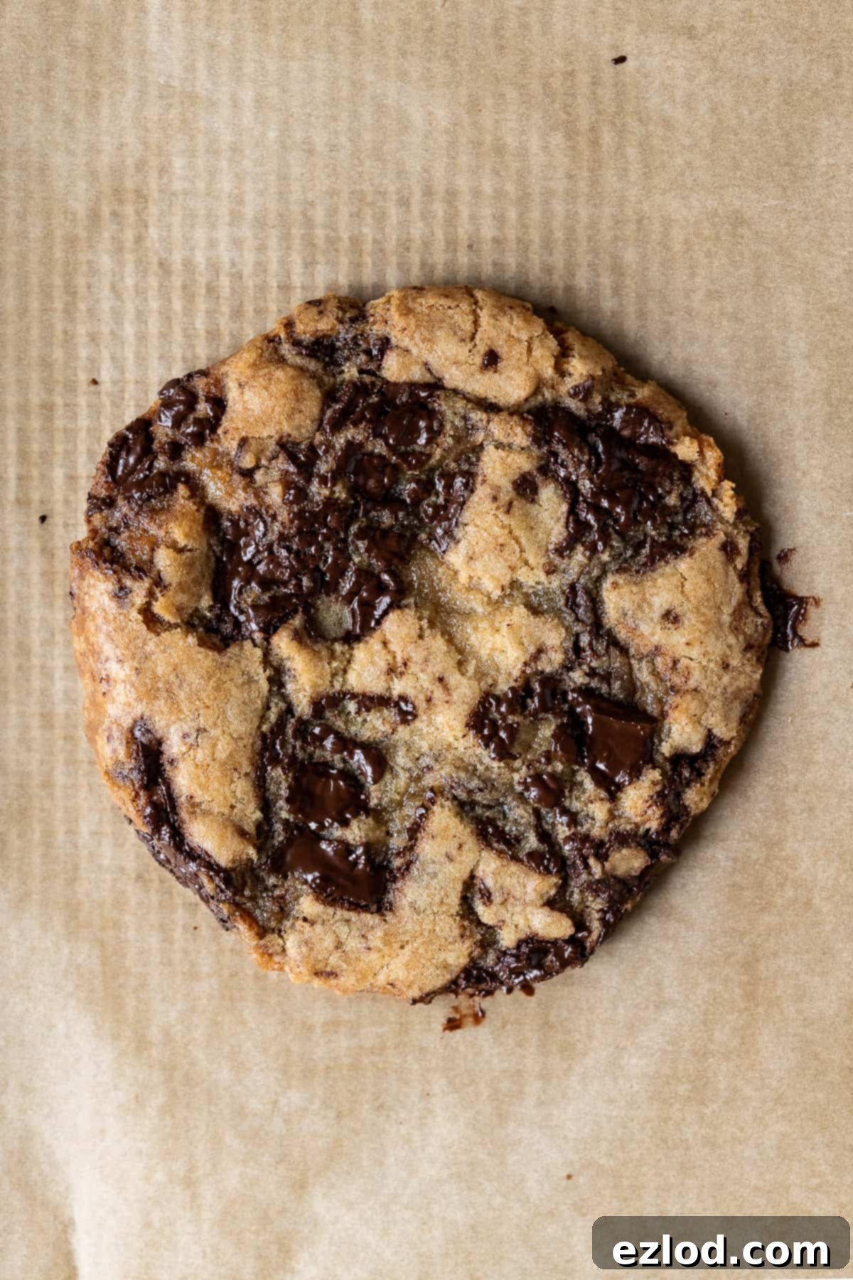 Giant Vegan Chocolate Chip Cookie - Small Batch Recipe A giant vegan chocolate chip cookie for one cooling on a sheet of brown baking parchment, ready to be picked up and enjoyed.