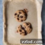 Solo Vegan Chocolate Chip Cookie 4 Two vegan chocolate chip cookies on a baking tray on a grey background.