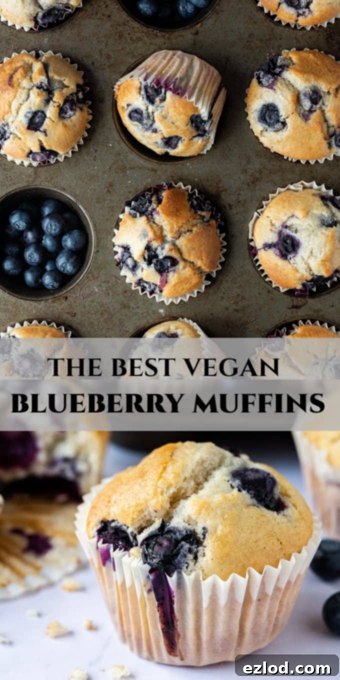 Vegan blueberry muffins - these easy eggless and dairy-free muffins are perfectly light, soft, tender and fluffy with a sweet vanilla flavour and plenty of juicy blueberries. The perfect snack! #veganbaking #veganmuffins #blueberrymuffins #vegansnack #eggless #dairyfree Pinterest image for vegan blueberry muffins, showing a full tray on a marble background.