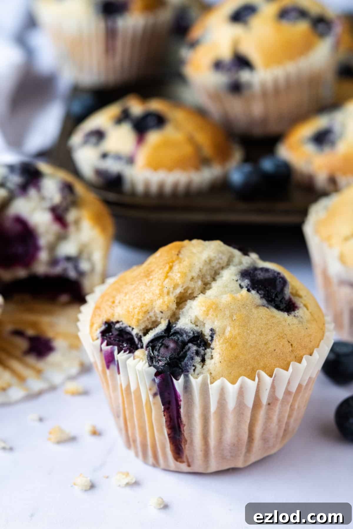 Vegan blueberry muffins - these easy eggless and dairy-free muffins are perfectly light, soft, tender and fluffy with a sweet vanilla flavour and plenty of juicy blueberries. The perfect snack! #veganbaking #veganmuffins #blueberrymuffins #vegansnack #eggless #dairyfree Close-up view of a single vegan blueberry muffin, showing its moist texture and juicy blueberries.