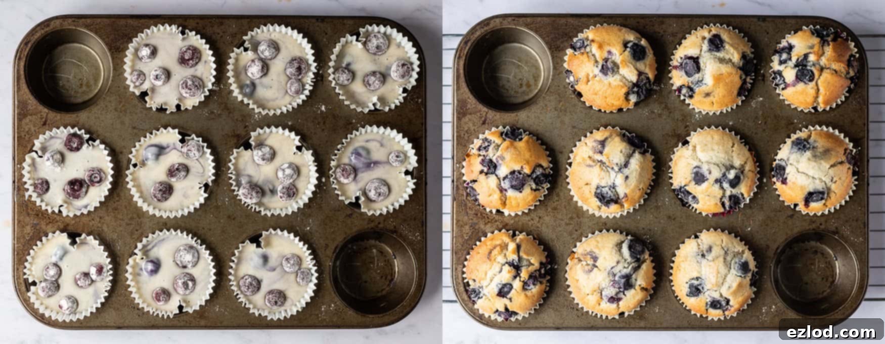 Plant-Powered Blueberry Muffins 4 Step 3: Dividing vegan blueberry muffin batter into cases and baking for perfectly risen muffins.