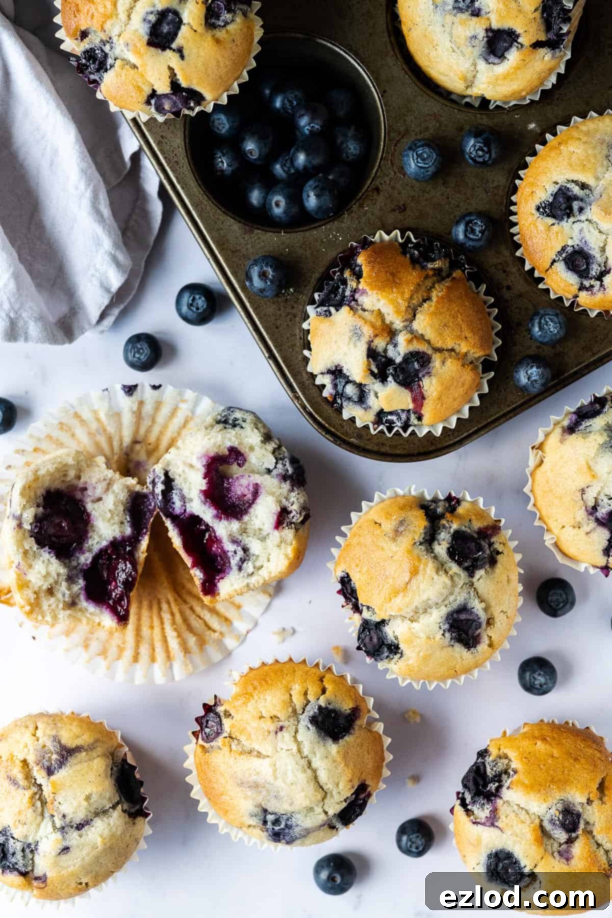 Vegan blueberry muffins - these easy eggless and dairy-free muffins are perfectly light, soft, tender and fluffy with a sweet vanilla flavour and plenty of juicy blueberries. The perfect snack! #veganbaking #veganmuffins #blueberrymuffins #vegansnack #eggless #dairyfree Vegan blueberry muffins on a marble surface with fresh blueberries and a muffin tin, one muffin torn in half to show the moist interior.