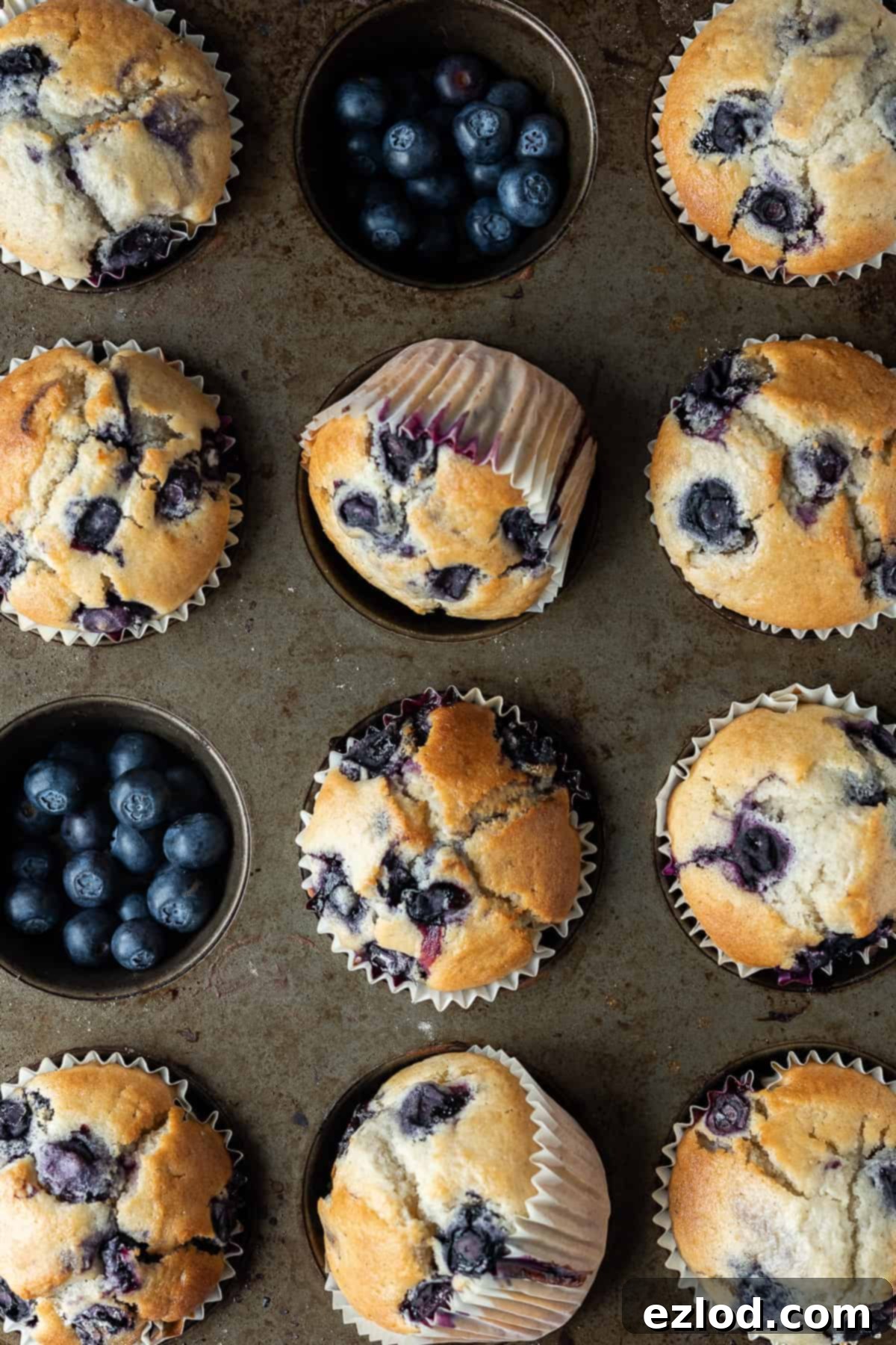 Vegan blueberry muffins - these easy eggless and dairy-free muffins are perfectly light, soft, tender and fluffy with a sweet vanilla flavour and plenty of juicy blueberries. The perfect snack! #veganbaking #veganmuffins #blueberrymuffins #vegansnack #eggless #dairyfree Close-up of vegan blueberry muffins in a metal muffin tray, with some fresh blueberries in the empty muffin holes.