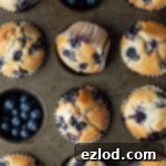 Plant-Powered Blueberry Muffins 5 Close up of vegan blueberry muffins in a metal muffin tray, two of the holes filled with fresh blueberries.