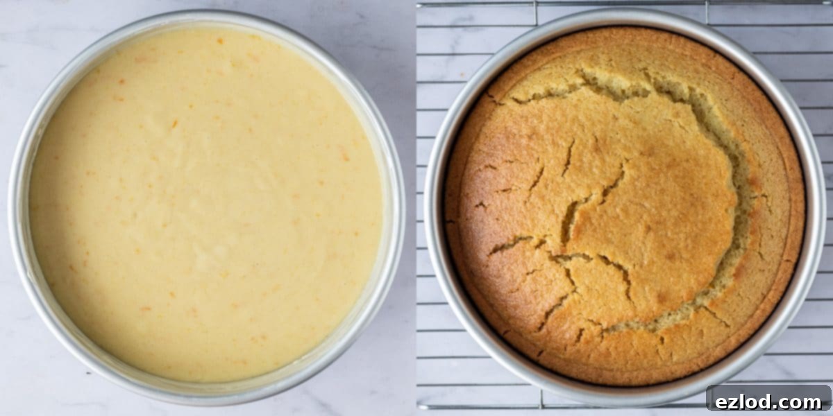 Plant-Based Semolina Delight 4 Step-by-step image showing vegan semolina cake baking in a round cake tin in the oven