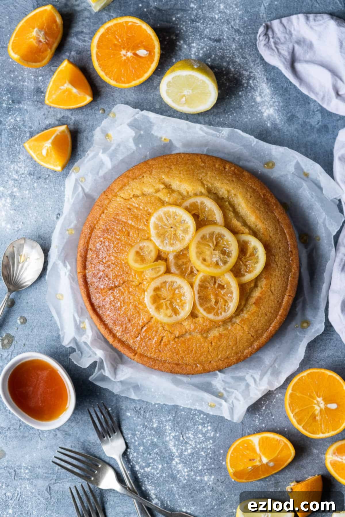 Vegan Semolina Cake Display with Candied Citrus Beautifully arranged vegan semolina cake topped with candied lemon slices, surrounded by fresh orange and lemon slices and three forks on a grey background