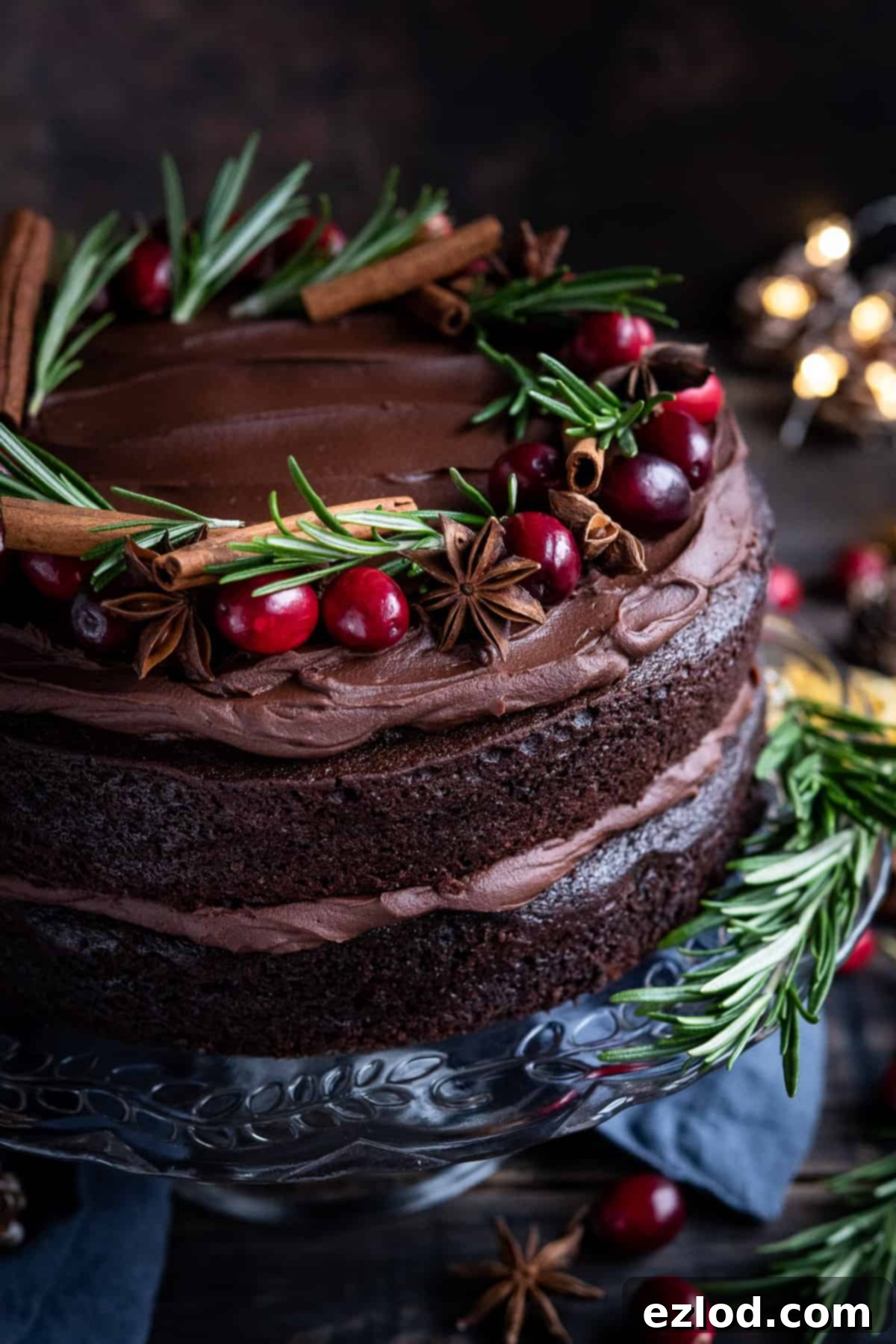 Vegan Mulled Wine Cake Decorations Close up of vegan mulled wine chocolate cake topped with fresh cranberries, rosemary, star anise and cinnamon sticks.