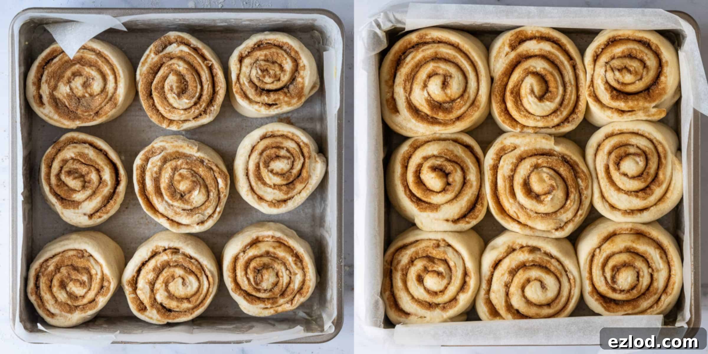 Fluffy Vegan Tangzhong Cinnamon Rolls 5 Step 5 - a two image collage showing the cinnamon rolls rising in a baking pan.