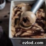 Vegan Mocha Marble Indulgence 5 Vegan coffee ice cream in a metal tin with an ice cream scoop.