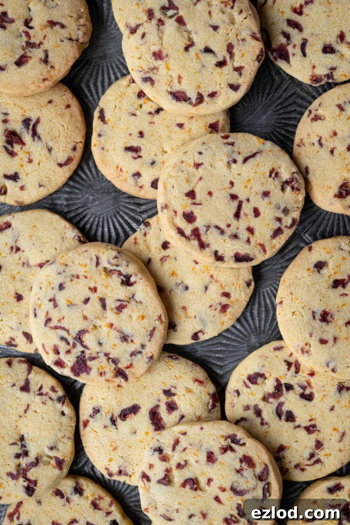 Vegan Zesty Cranberry Orange Shortbread 12 A batch of baked vegan cranberry orange shortbread cookies resting on a metal tray, ready to be enjoyed.