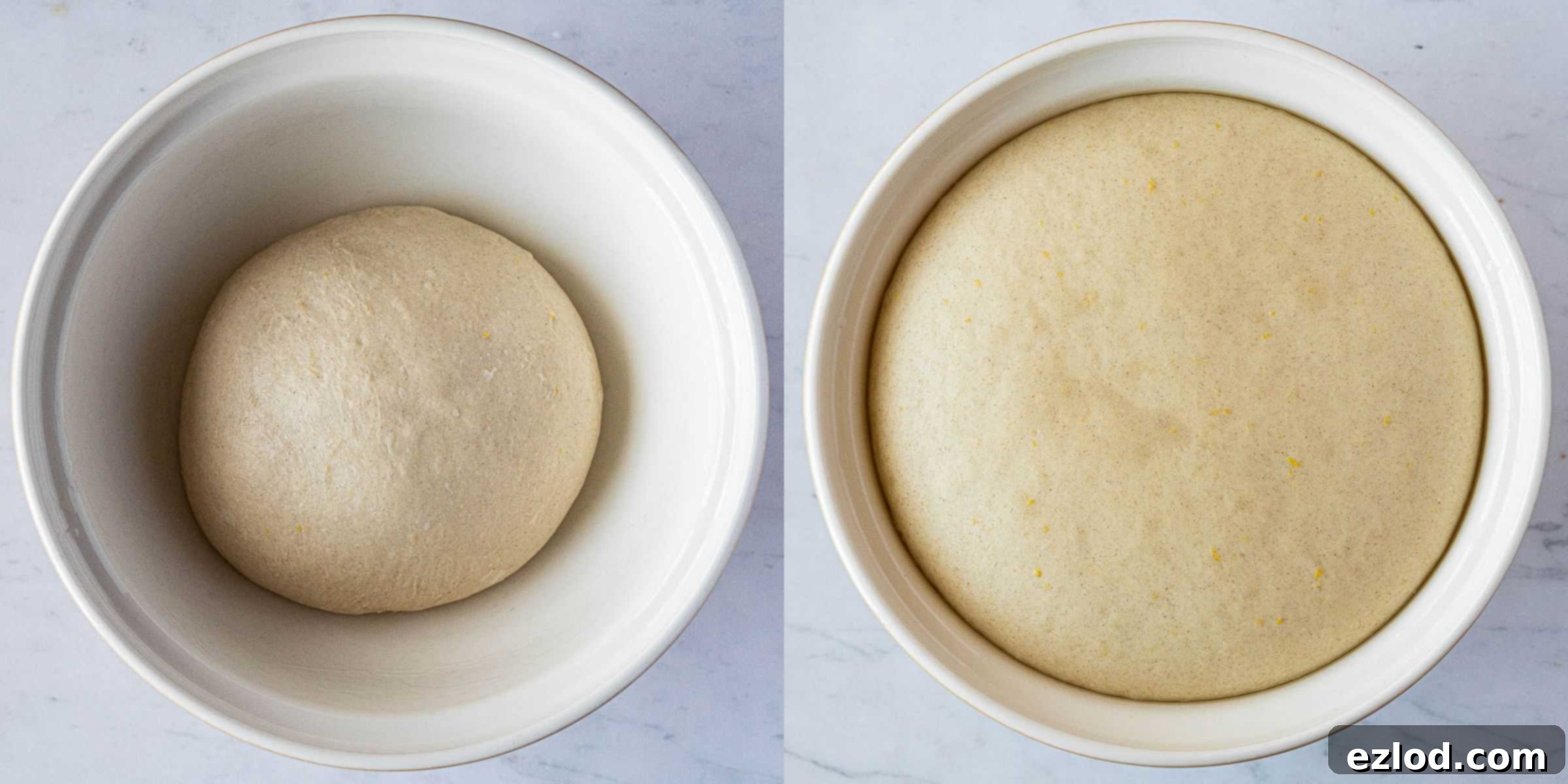 Plant-Based Belgian Delights 4 Step 2, a two image collage of the dough before and after rising.