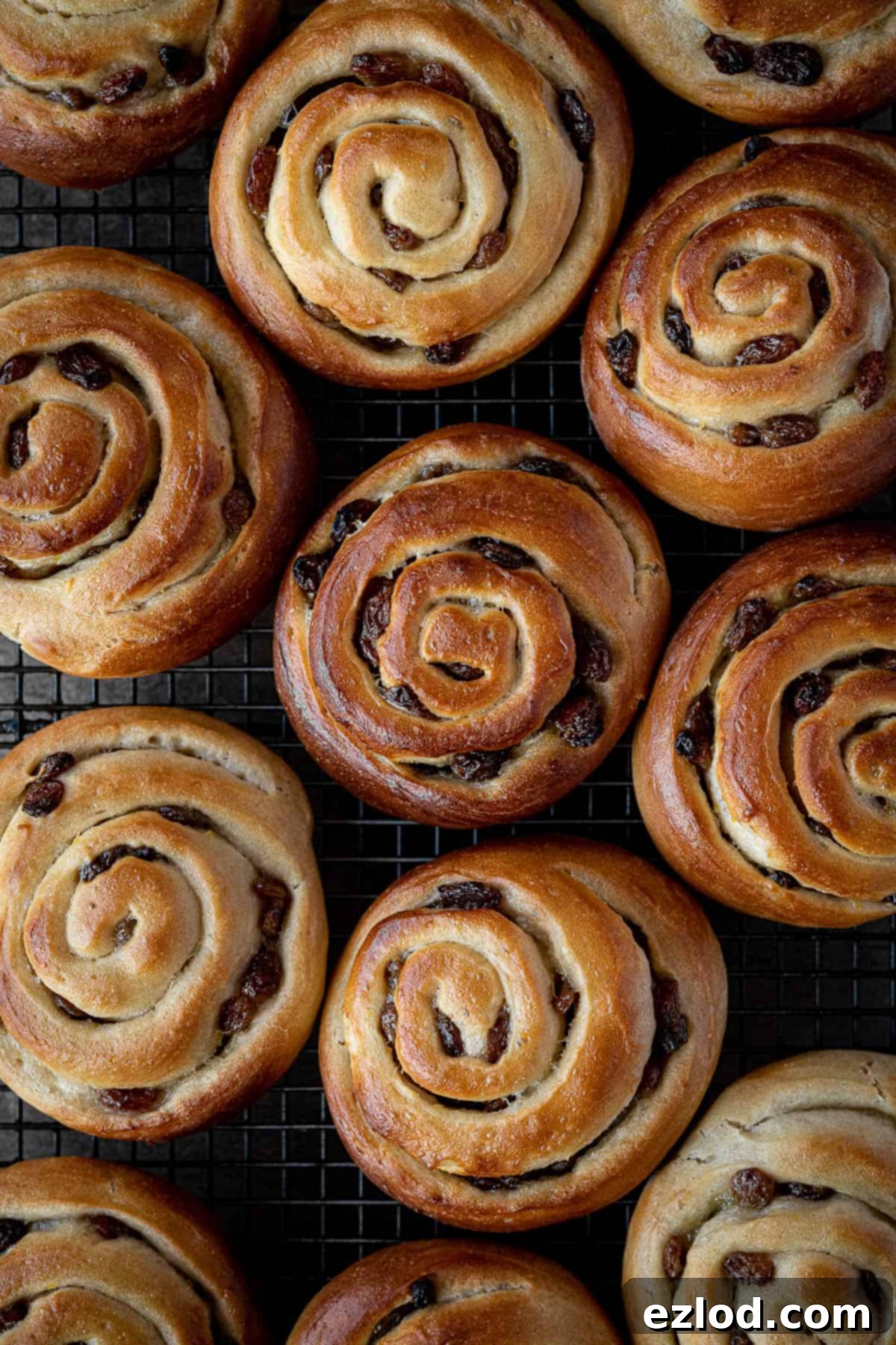 Plant-Based Belgian Delights 8 Un-iced Belgian buns on a wire rack.