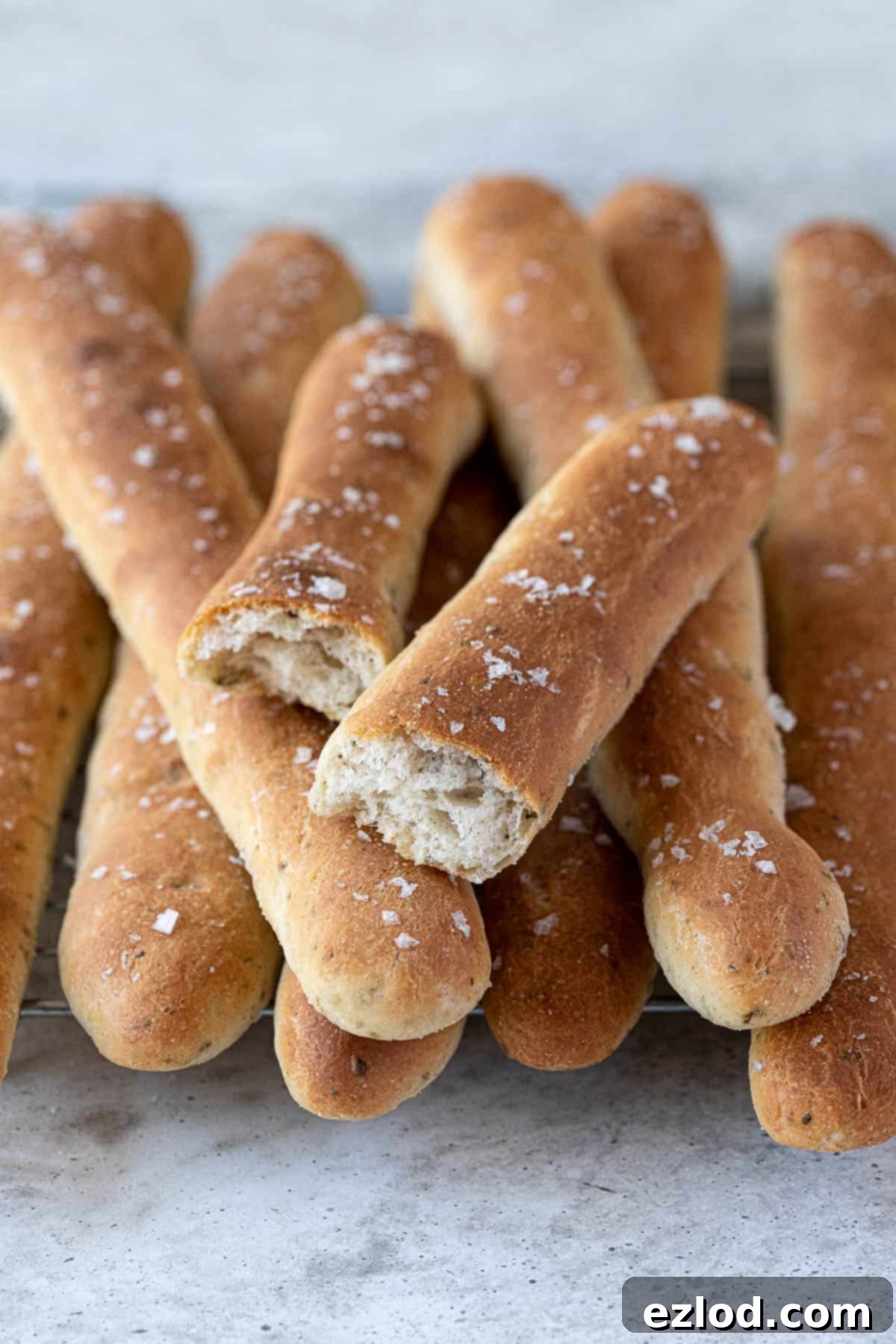 Aromatic Plant Sticks 3 A close-up view of a herby vegan breadstick, perfectly broken in half to reveal its soft, airy interior texture.