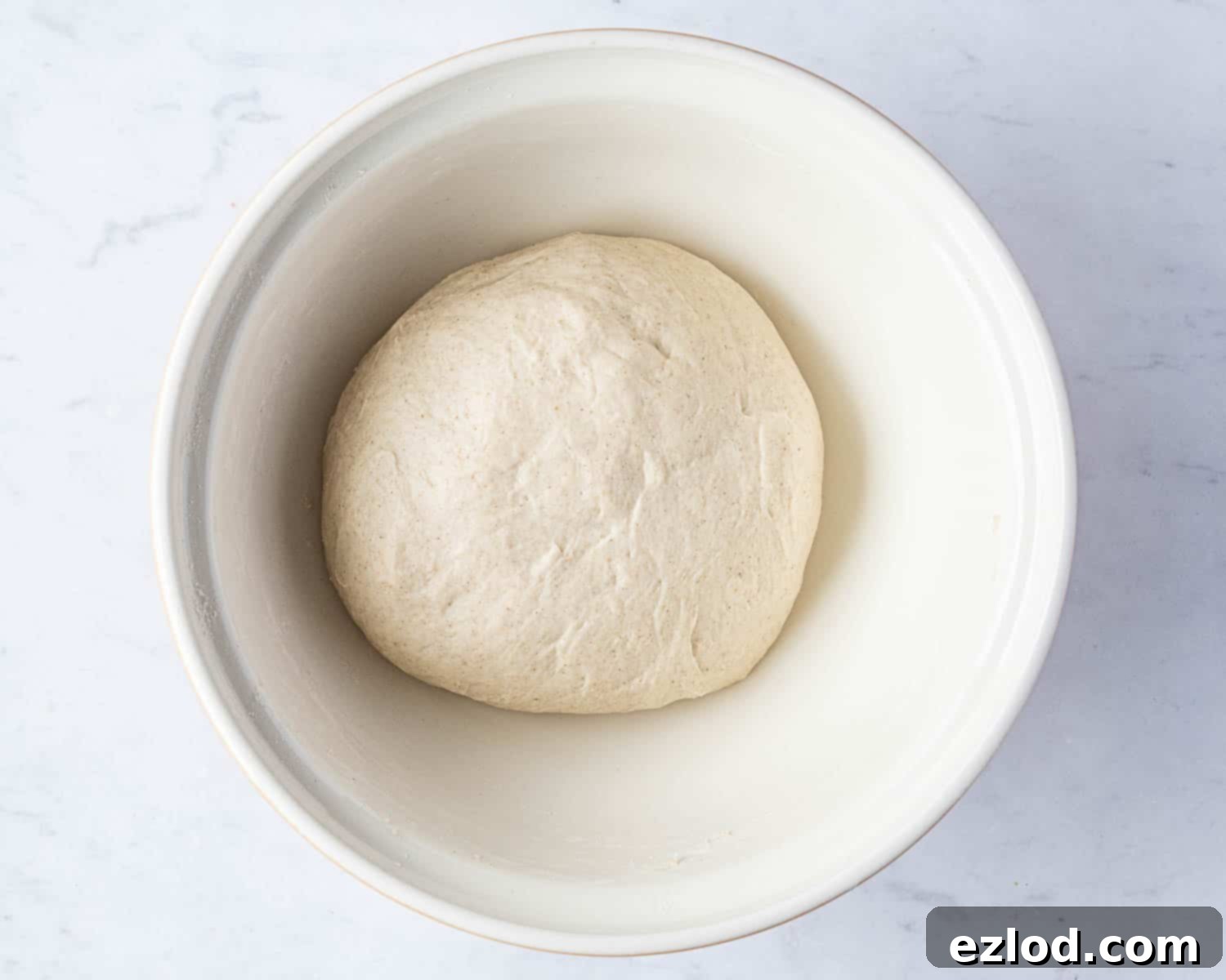 Aromatic Plant Sticks 5 A close-up shot of the perfectly kneaded dough, smooth and elastic, ready for the next stage.