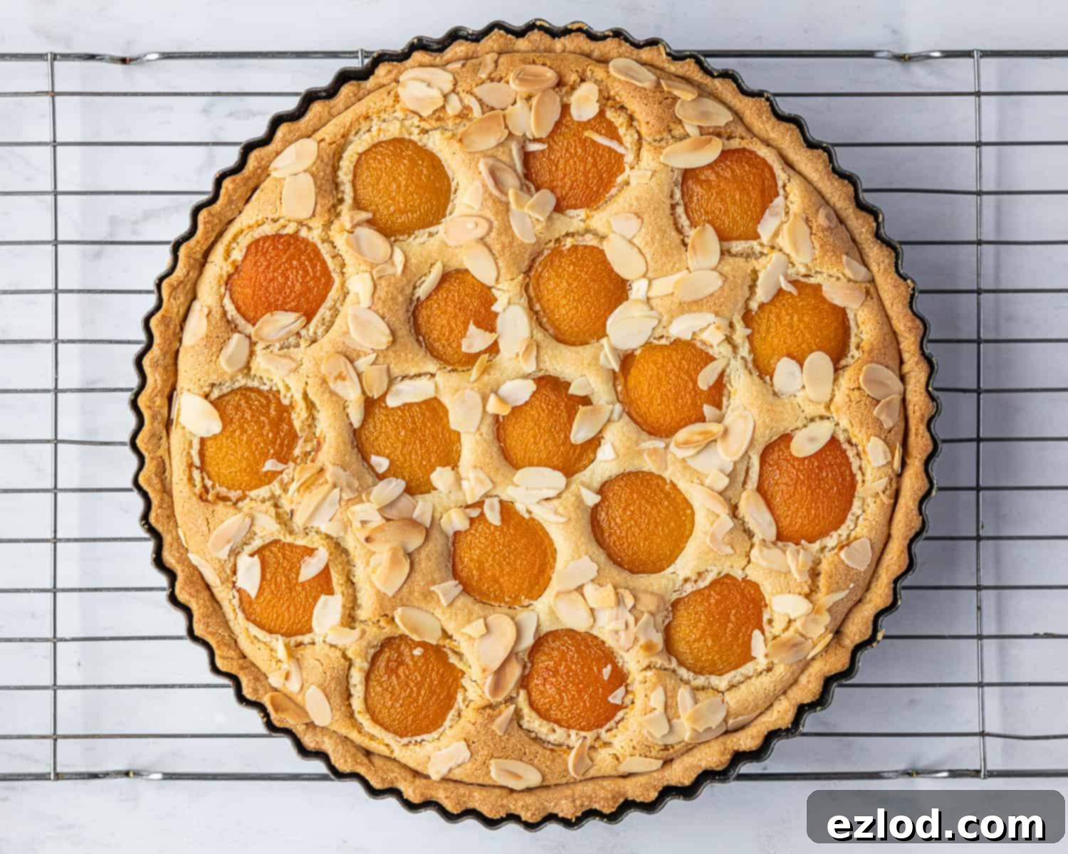 Plant-Based Apricot Frangipane Tart 9 The vegan apricot frangipane tart freshly baked, golden brown, and looking perfectly set in its tin.