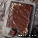 Decadent Vegan Chocolate Hazelnut Cake 14 Chocolate hazelnut sheet cake on a brown surface with bowls of hazelnuts and ganache.