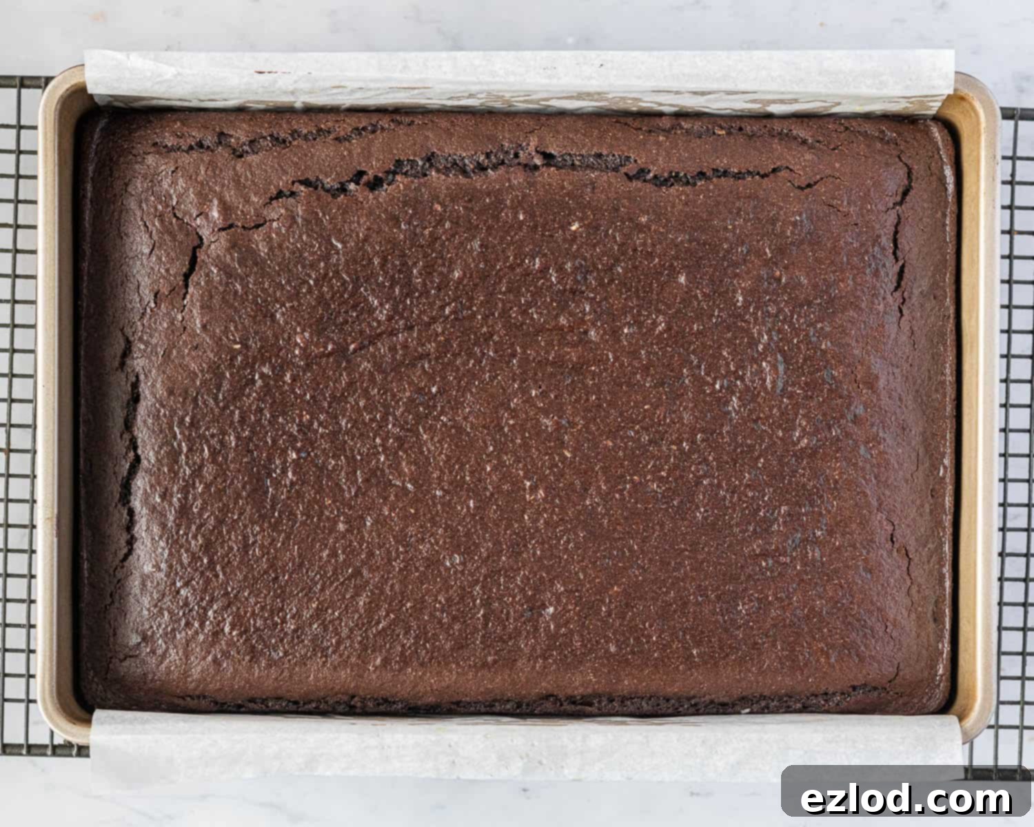 Decadent Vegan Chocolate Hazelnut Cake 9 A freshly baked vegan chocolate hazelnut cake, golden brown and perfectly risen, cooling in its rectangular tin after coming out of the oven.