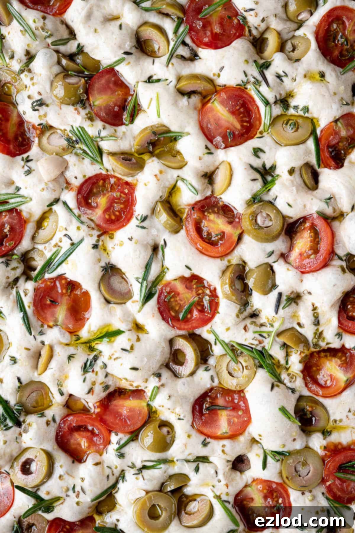 Baking Bliss and BBC Maestro Insights 14 Close up of the unbaked focaccia with vibrant toppings, demonstrating its readiness for the oven.