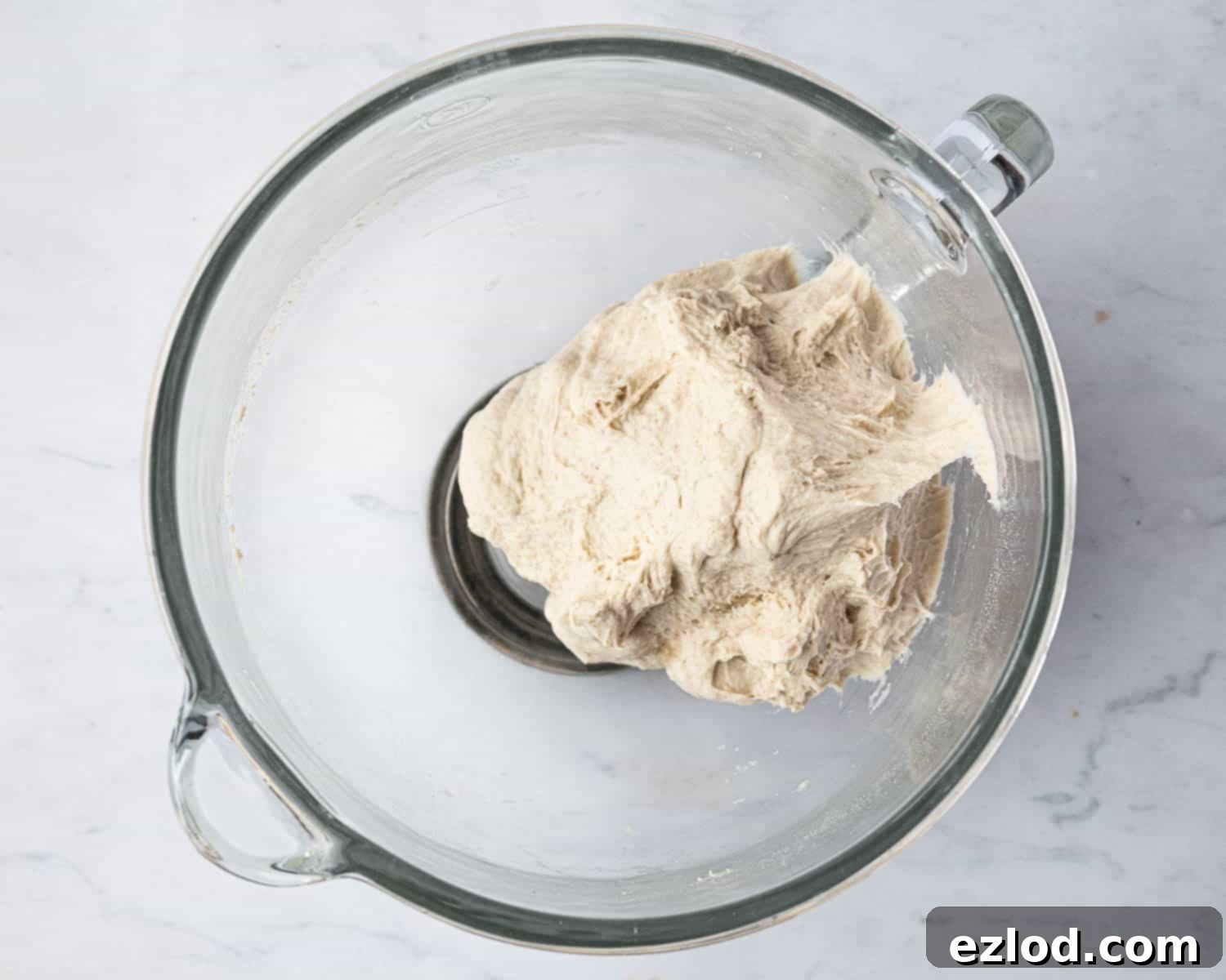 Baking Bliss and BBC Maestro Insights 5 Step 1, the dough in a bowl, after initial mixing.