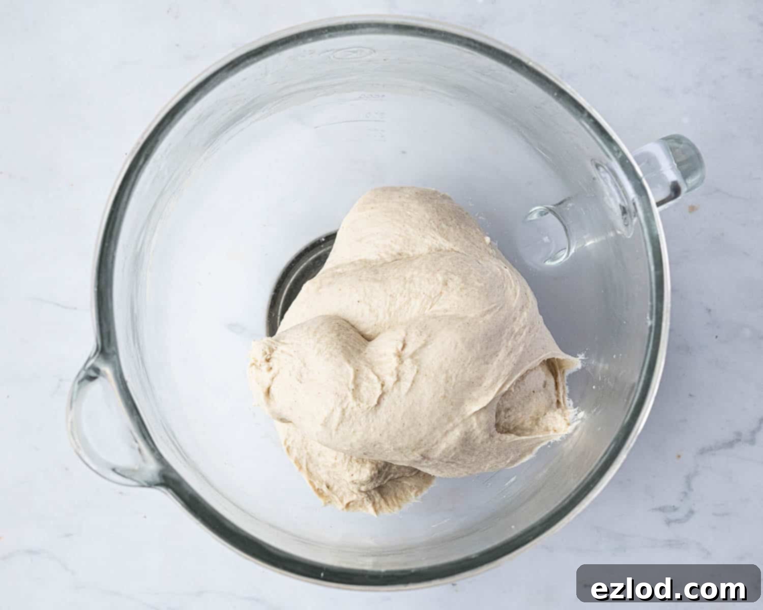 Baking Bliss and BBC Maestro Insights 7 Step 3, the finished, smooth dough after mixing with salt.