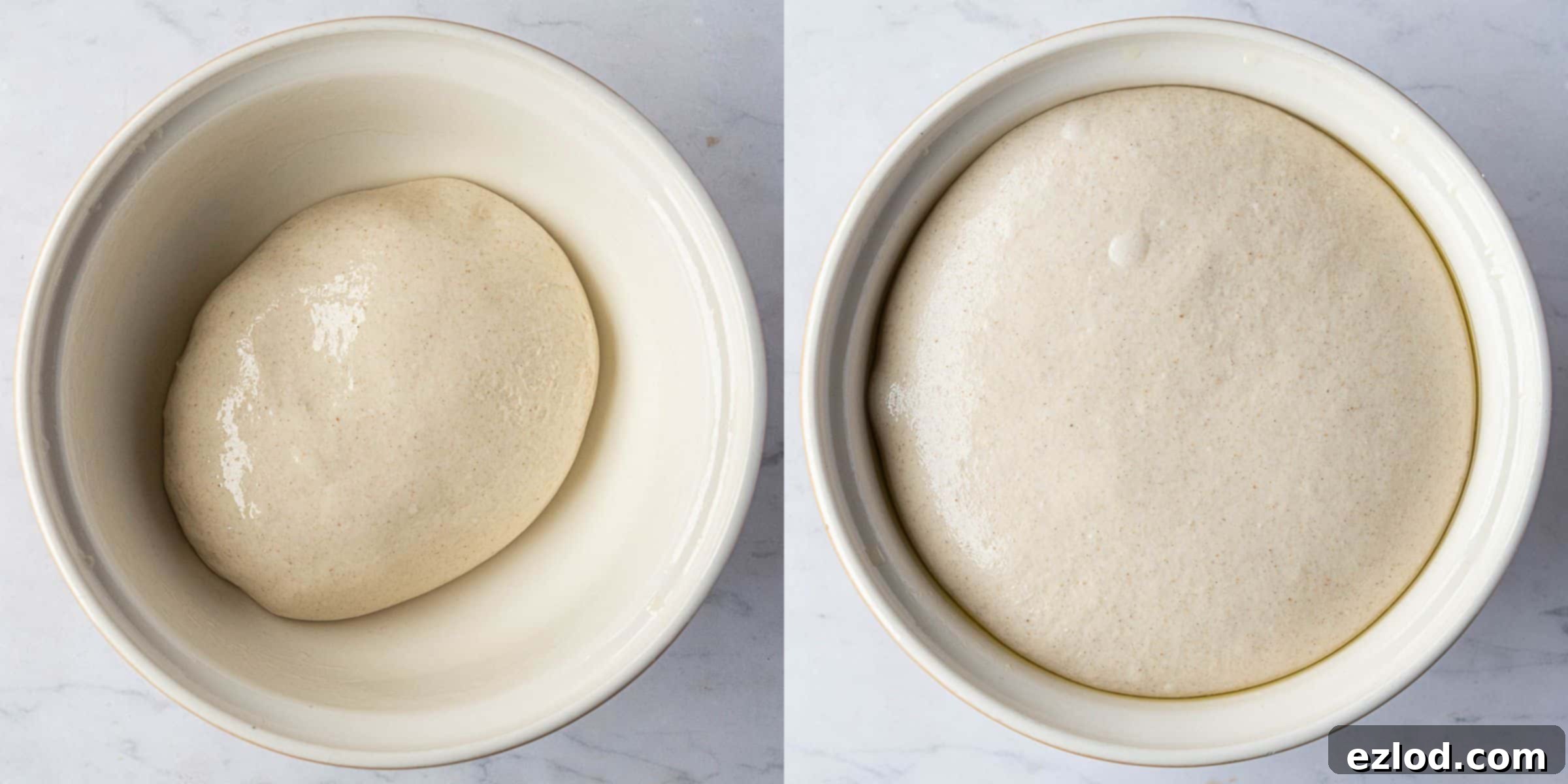 Baking Bliss and BBC Maestro Insights 9 Step 5, a two image collage showing the dough before and after rising, demonstrating its increased volume and bubbly texture.