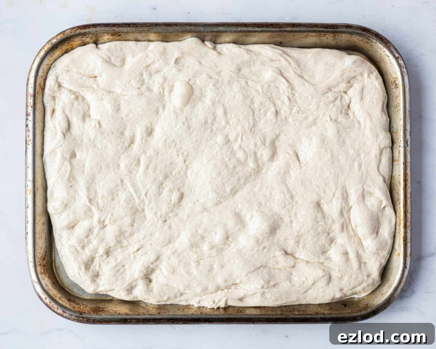 Baking Bliss and BBC Maestro Insights 10 Step 6, the dough gently stretched out and placed onto a baking tray.
