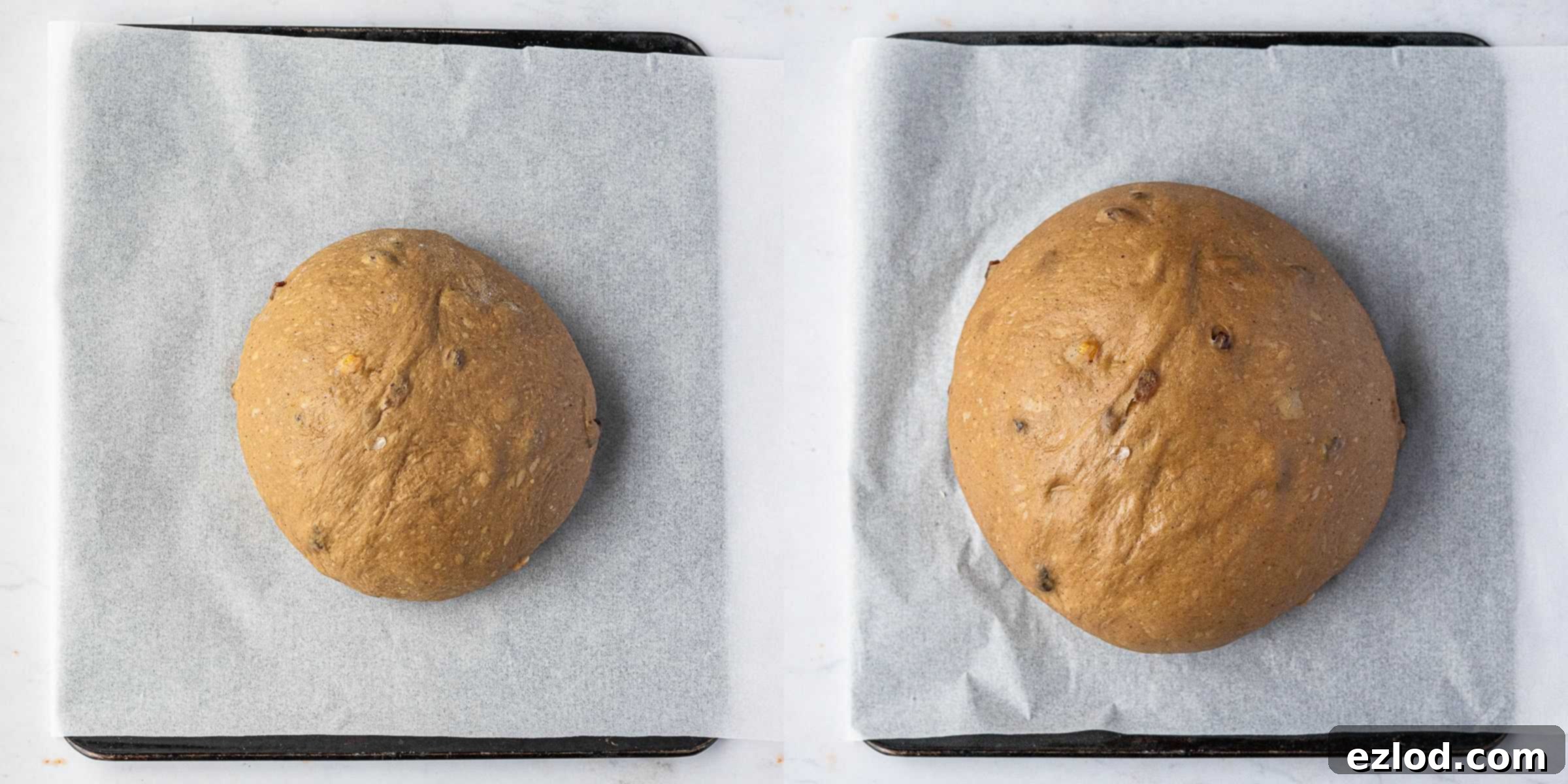 Jamaican Plant-Based Spiced Bun 10 Step 6: A two-image collage depicting the shaped bun before its second rise and after it has significantly puffed up.