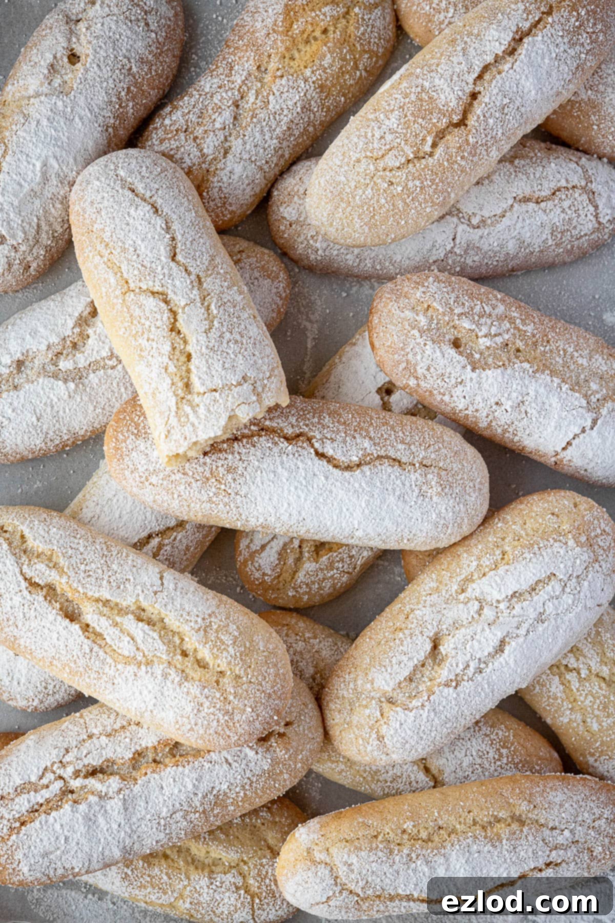 Delicate Vegan Ladyfingers 13 Close up of a delightful pile of perfectly baked vegan ladyfingers, showcasing their light and airy texture.