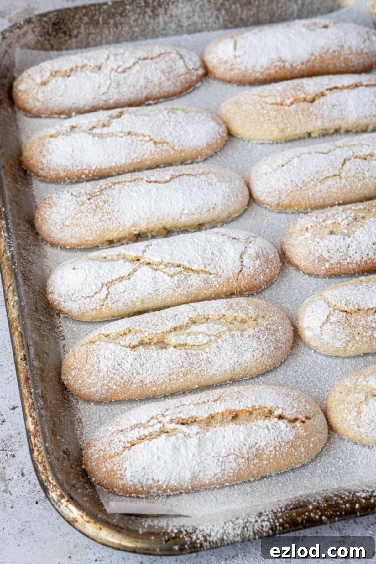 Delicate Vegan Ladyfingers 14 Rows of perfectly golden-baked vegan ladyfinger cookies on a baking sheet, ready for cooling.