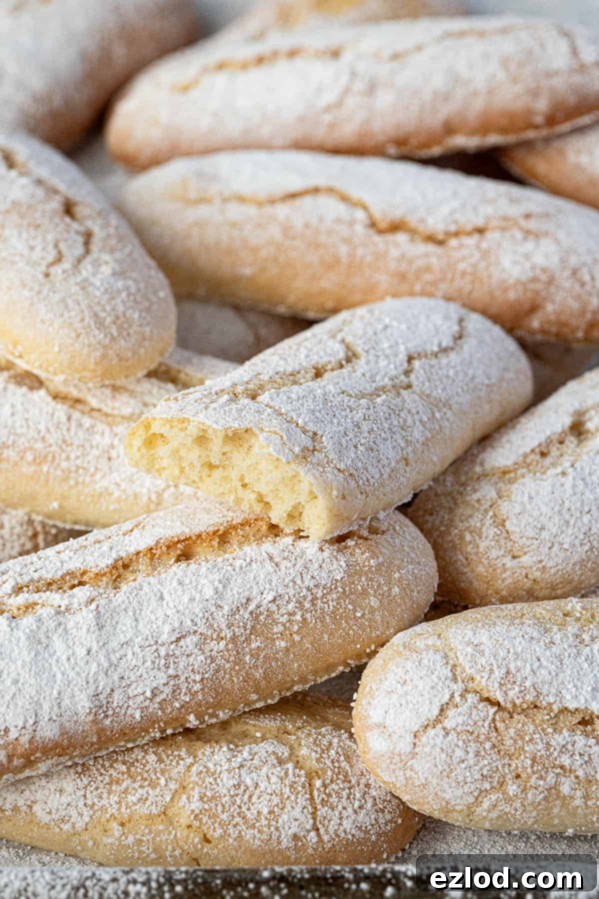 Delicate Vegan Ladyfingers 15 Close up of a single broken vegan ladyfinger cookie, revealing its texture.
