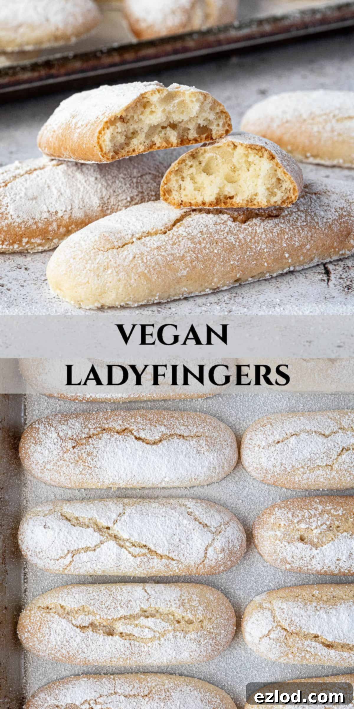 Delicate Vegan Ladyfingers 17 Pinterest collage image featuring multiple photos of vegan ladyfingers.