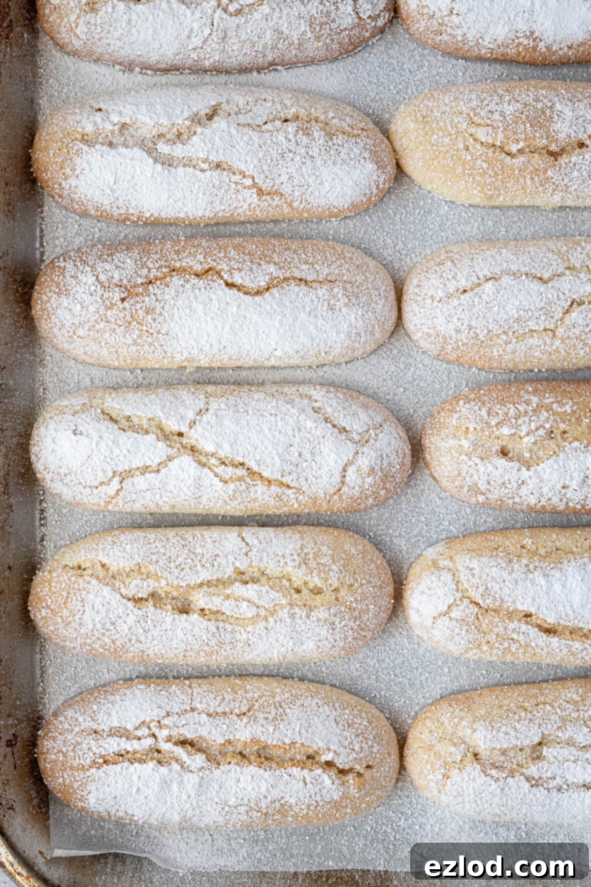 Delicate Vegan Ladyfingers 4 Rows of vegan ladyfingers neatly arranged on a baking tray after being baked.
