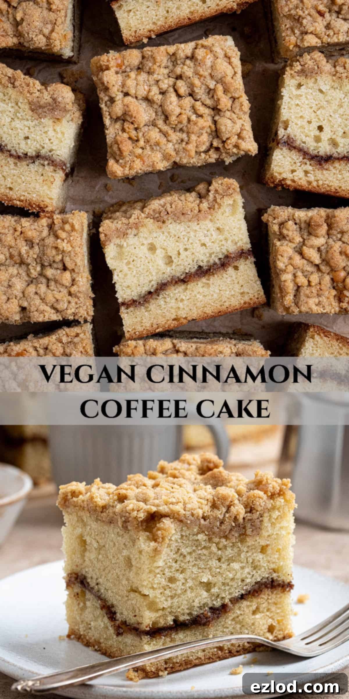 Plant-Based Streusel Cake 15 Pinterest collage image.