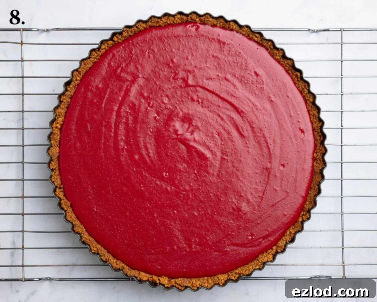Zesty Vegan Cranberry Curd Tart 13 Step 8: The fully assembled Vegan Cranberry Curd Tart, with the smooth red curd poured into the baked gingernut crust, ready for chilling.