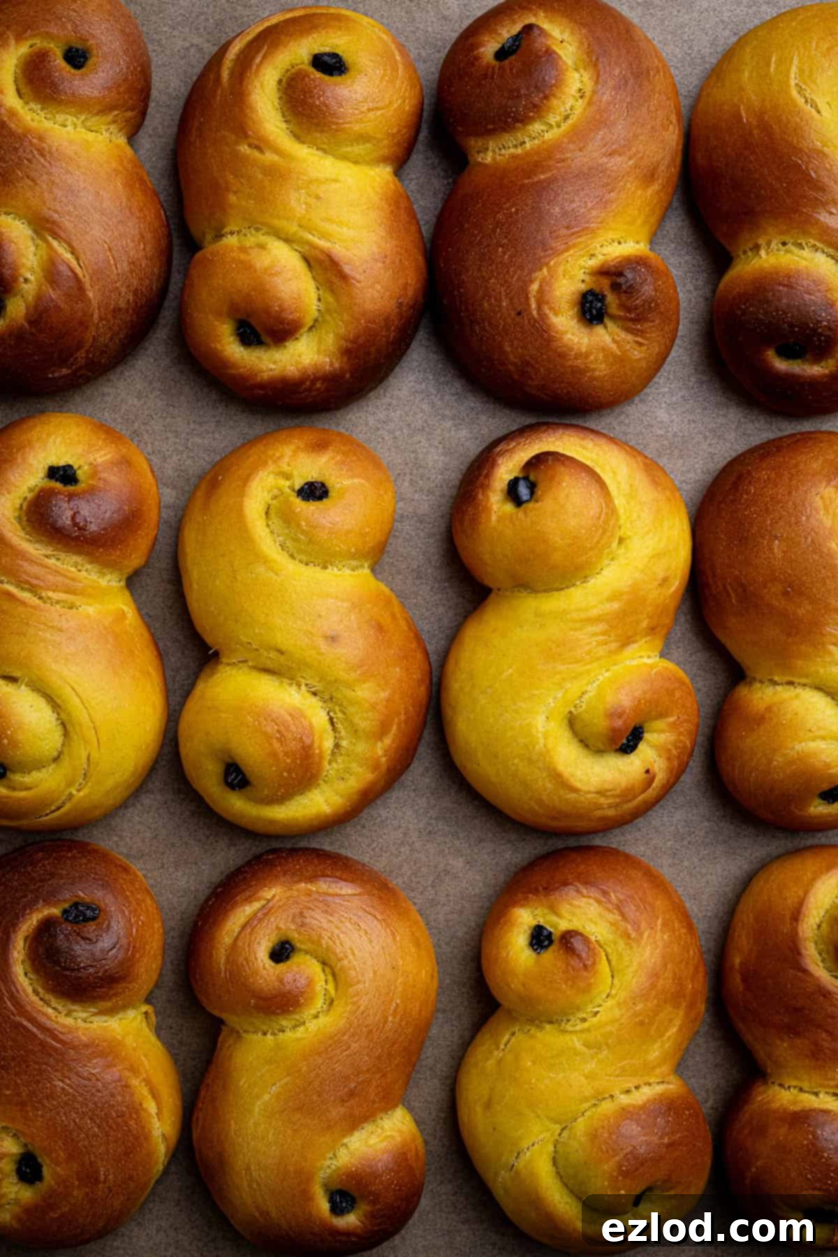 Plant-Based Saffron Buns for St. Lucia 3 Rows of vegan St. Lucia buns.