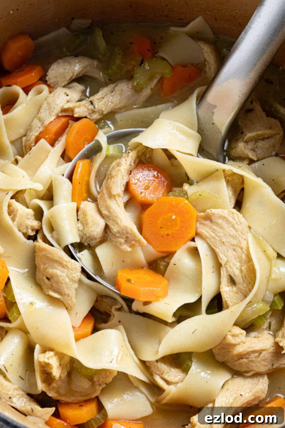 Plant-Based Chicken Noodle Soup 4 A close-up shot of a ladle scooping a generous portion of vegan chicken noodle soup from a pot, showcasing the rich broth, pasta, seitan, and vegetables.