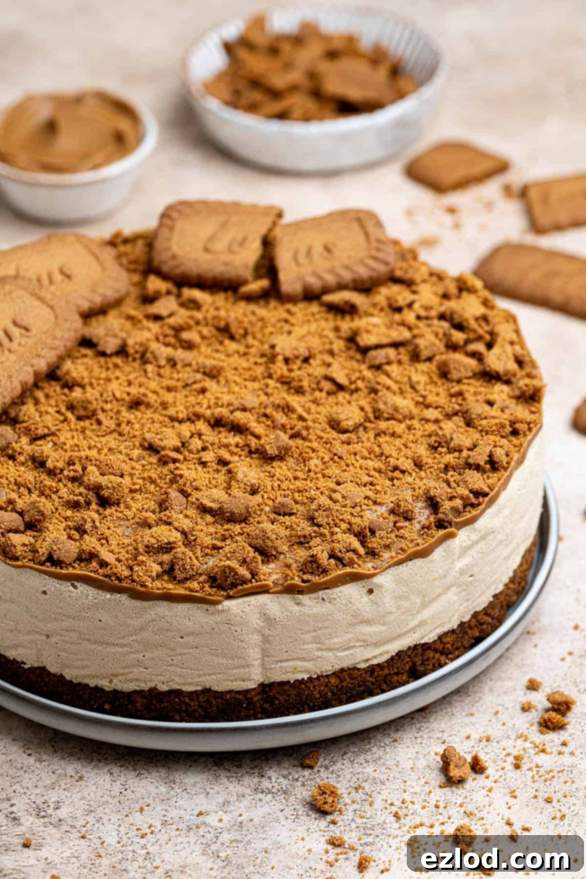 Decadent Vegan Biscoff Cheesecake 11 A complete vegan Biscoff cheesecake presented on a plate, surrounded by bowls of Biscoff cookies and cookie butter for decoration.