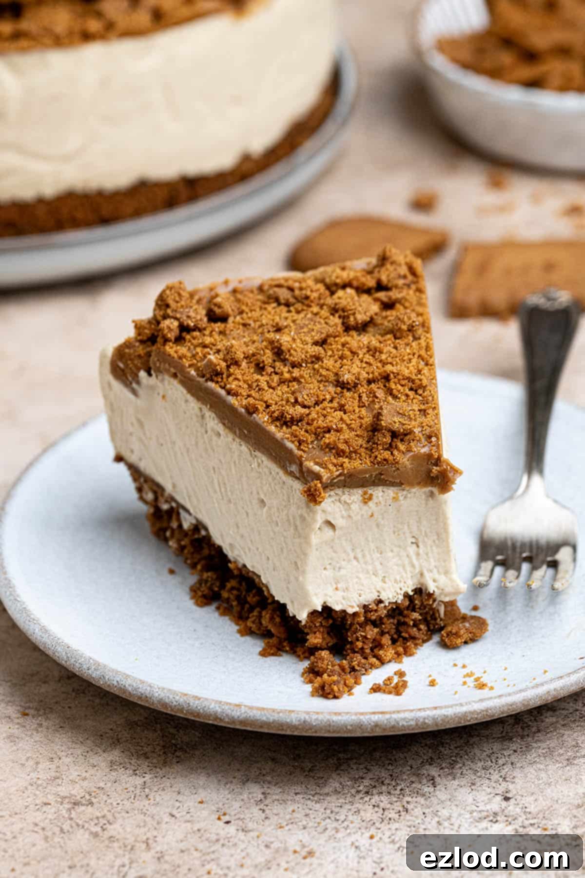 Decadent Vegan Biscoff Cheesecake 12 A perfectly sliced piece of vegan Biscoff cheesecake on a plate, with a forkful already removed, highlighting its rich layers and creamy texture.