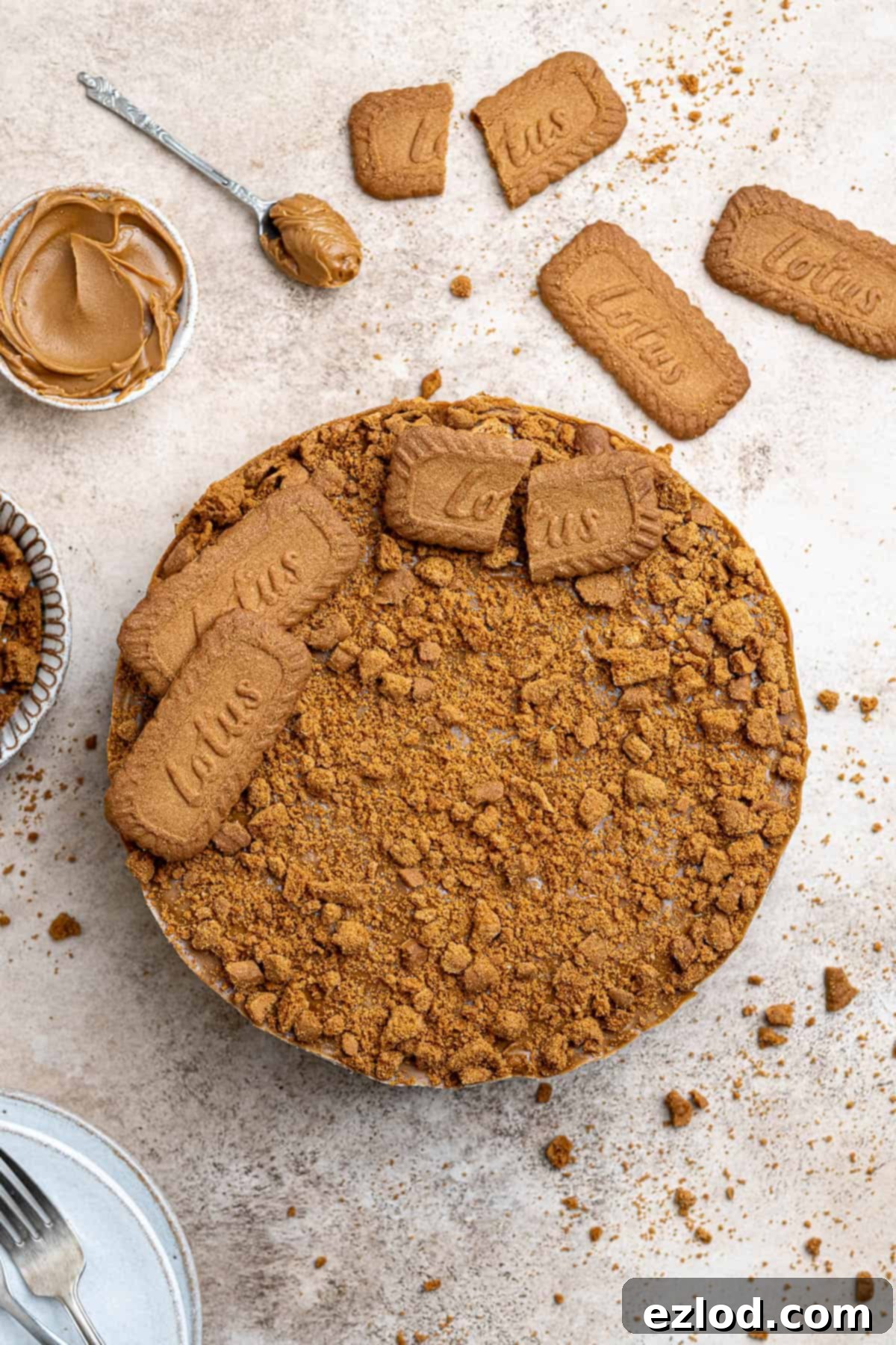Decadent Vegan Biscoff Cheesecake 4 A top-down shot of the fully prepared vegan Biscoff cheesecake, generously decorated with Biscoff cookie crumbs and a drizzle of cookie butter.