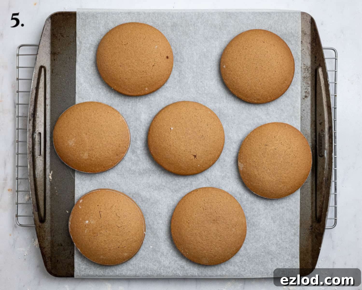 Plant-Based Jamaican Bulla Delight 9 Step 5: Freshly baked vegan Jamaican bulla cakes, golden and fragrant, cooling directly on the baking sheet before being transferred to a wire rack.