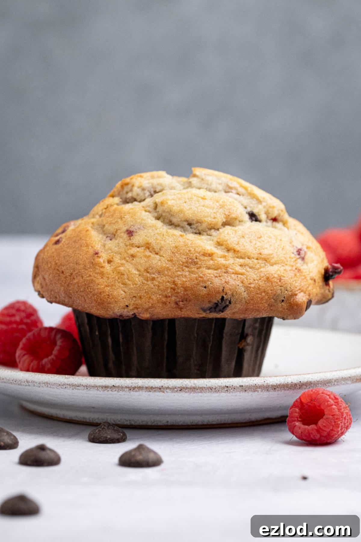 Plant-Based Chocolate Raspberry Muffins 12 A vegan choc chip raspberry muffin on a white plate with fresh raspberries.