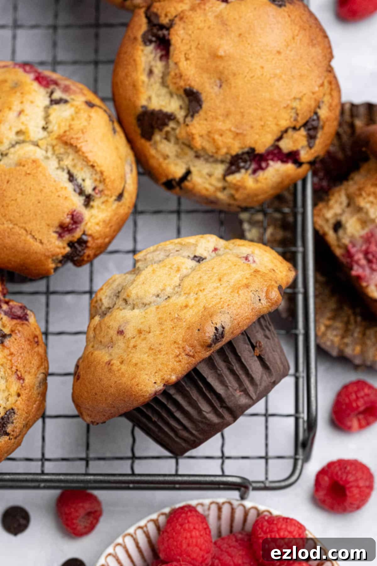 Plant-Based Chocolate Raspberry Muffins 4 Close up of a choc chip raspberry muffin on a wire cooling rack.