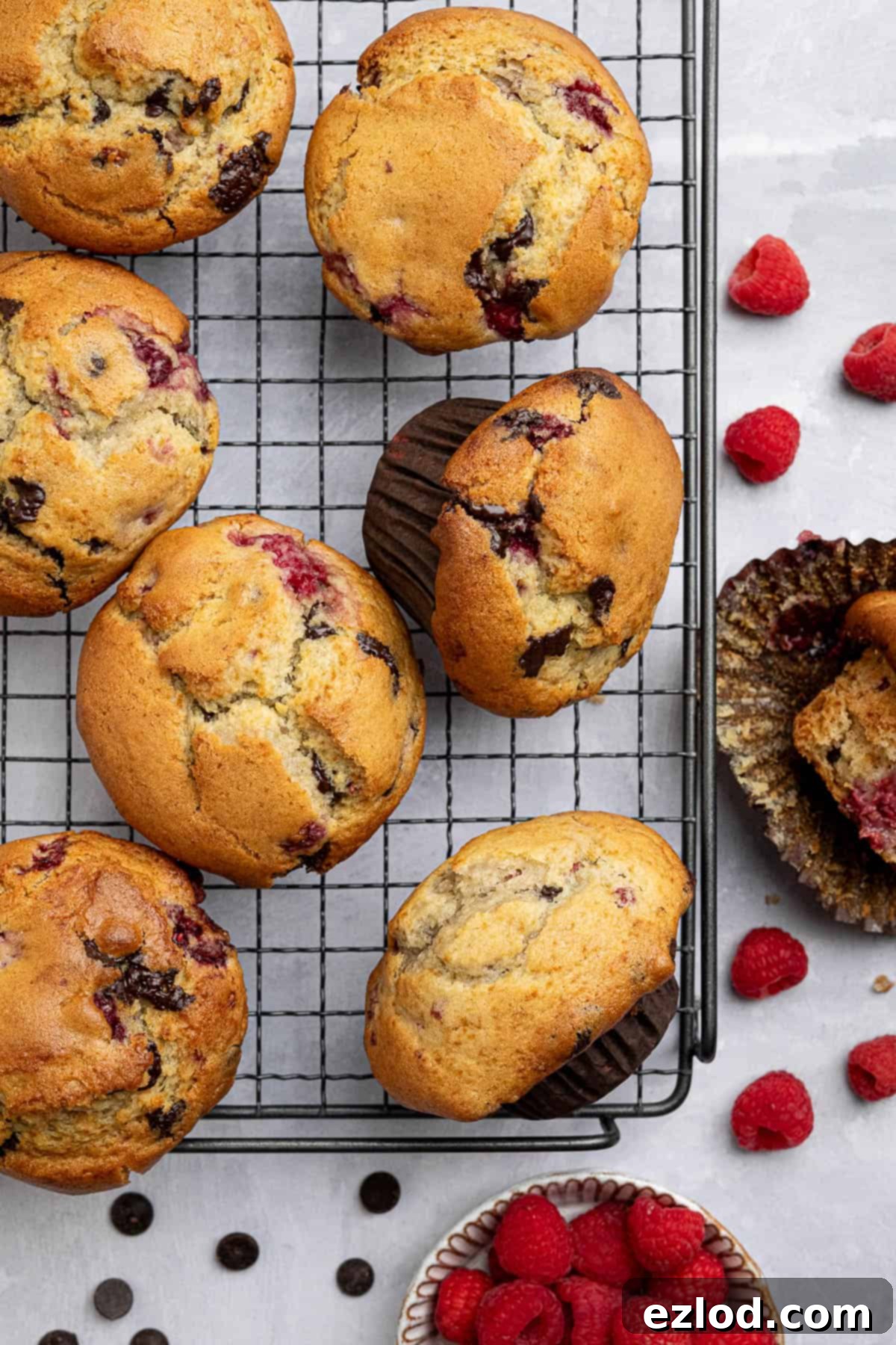 Plant-Based Chocolate Raspberry Muffins 10 Vegan choc chip raspberry muffins on a wire cooling rack.