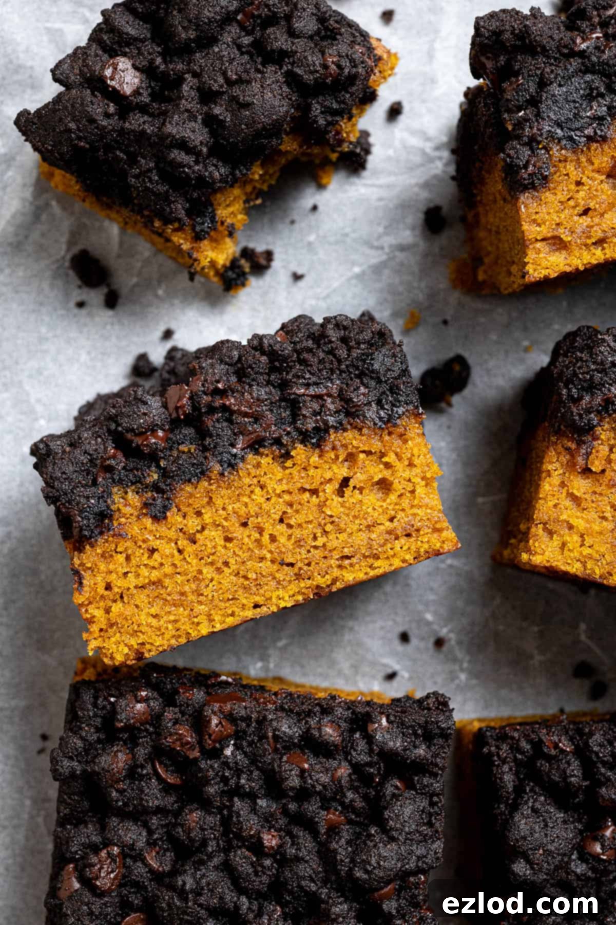 Close up of a square of vegan pumpkin chocolate crumb cake.