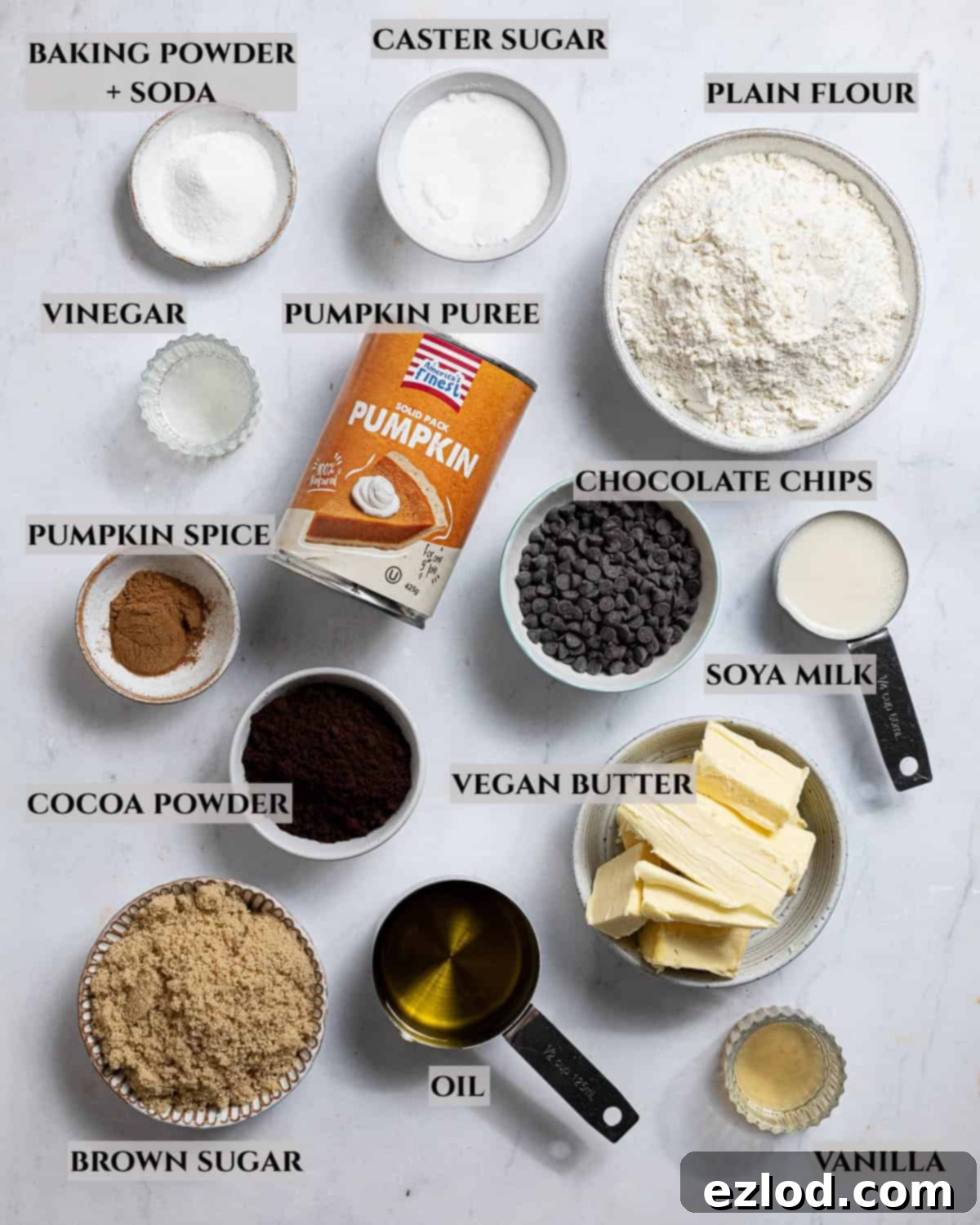 A labelled photo of the ingredients needed to make pumpkin chocolate crumb cake.