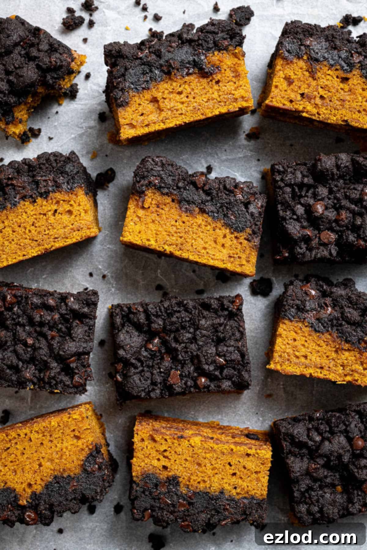 Squares of vegan pumpkin chocolate crumb cake on a sheet of baking paper.