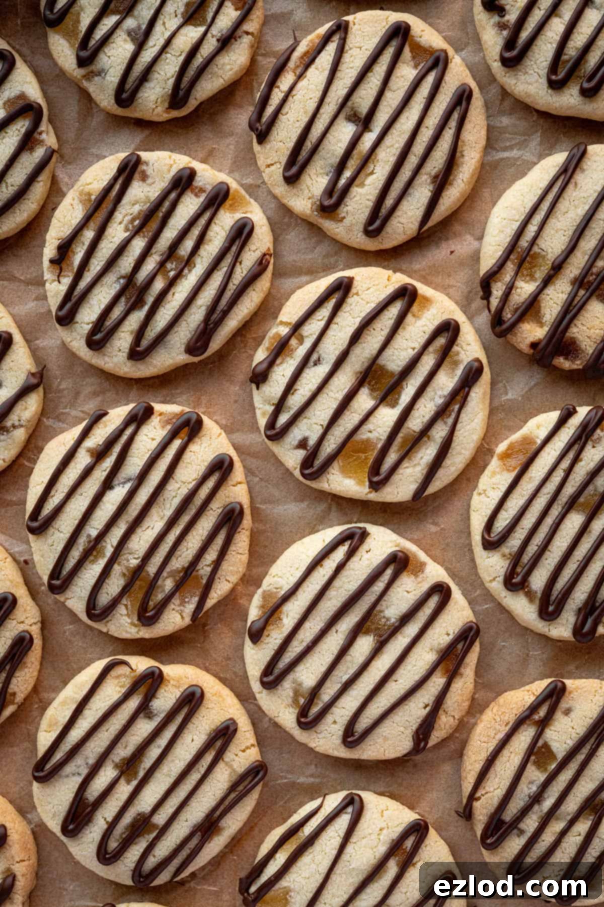Buttery Ginger Shortbread 4 Close up of ginger shortbread cookies on a sheet of brown baking parchment.